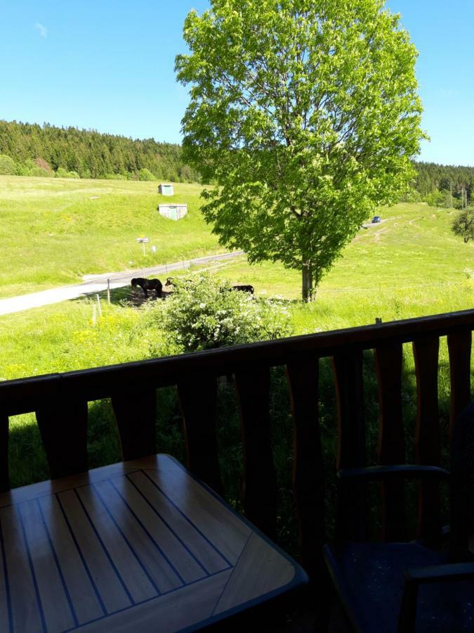 Le Relais Nordique Hotell Giron Eksteriør bilde